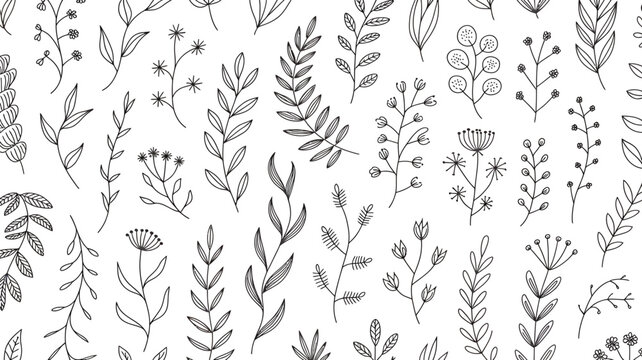Seamless pattern of delicate hand drawn floral elements and botanical branches on transparent background