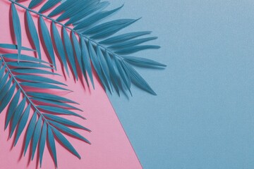 Turquoise palm fronds on diagonally split pink and blue background, flat lay