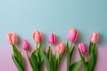A row of pink and orange tulips against a pastel pink and blue gradient background