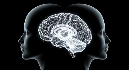 Obraz premium Illustration of Human Brain Connection, Two Profiles, Mental Link, Neurology Concept. Isolated on transparent background