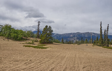 Obraz premium Snow still on the mountains - the northernmost desert in the world - Carcross, YT, Canada