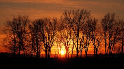 Fototapeta premium sunset over the lake