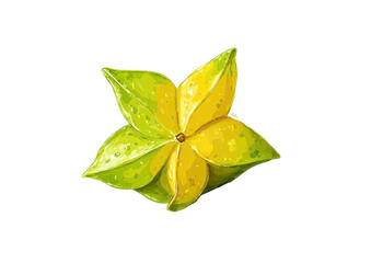 A vibrant, watercolor-style illustration of a starfruit against a stark black background