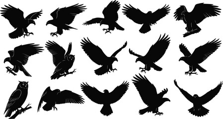 Obraz premium Eagle silhouette vector set, hawk flying collection, predatory bird icons, owl sitting on branch, falcon soaring wingspan, isolated wildlife raptor elements.