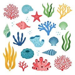 Marine Life And Flora Collection Digital Illustration Graphic