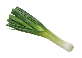 Fototapeta premium A vibrant, fresh leek, featuring bright green leaves and a crisp white bulb, isolated on black