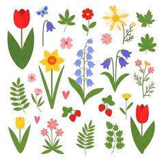 Stylized Whimsical Spring Summer Flora Scattered White Background