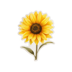 Fototapeta premium A vibrant, detailed illustration of a sunflower with yellow petals and a dark brown center