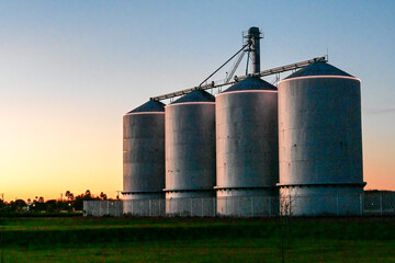 Grain silos standing on farmland at sunset, representing agricultural storage infrastructure, crop handling facilities, and rural supply chain operations © Eduardo Barraza