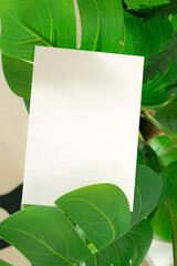 모던한 식물 장식과 카드 목업