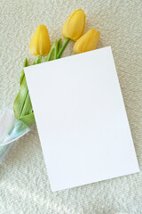 모던한 식물 장식과 카드 목업