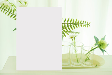 모던한 식물 장식과 카드 목업