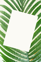 모던한 식물 장식과 카드 목업