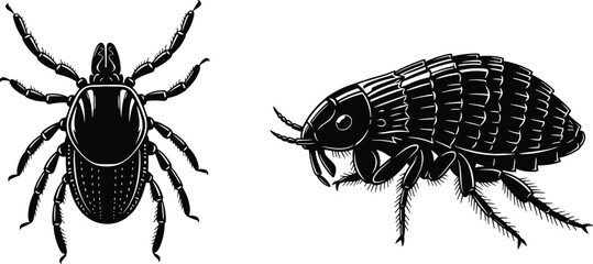 Detailed black silhouette of a tick and a flea isolated on white background for pest control veterinary medicine and parasitic insect education design © Its Ariful 