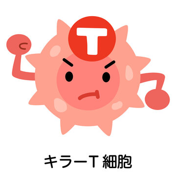 キラーT細胞　キャラクター