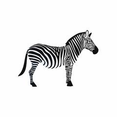 Fototapeta premium Striking black and white zebra illustration showcasing elegant stripes and form elegance
