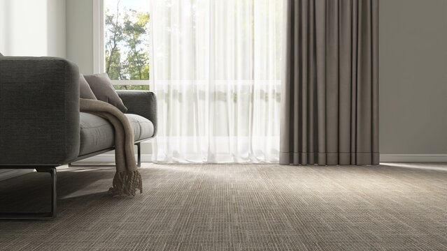 Gray modern sofa on carpet floor by white sheer, brown blackout curtain window in minimal living room in sunlight on wall for luxury interior design decoration, product background 3D