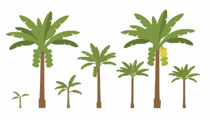 Various banana trees with green leaves and fruit bunches realistic botanical vector illustration collection isolated on white background © MdAtaur