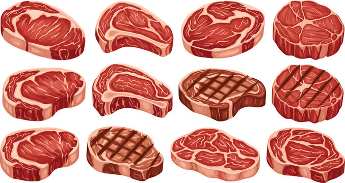 Set of raw and grilled beef steak vector illustrations featuring ribeye sirloin and fillet cuts isolated on white background for butcher shop and restaurant menu design projects