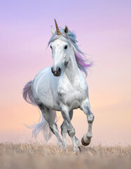 White unicorn gallops against a pastel pink and lavender sky. Rainbow mane and tail