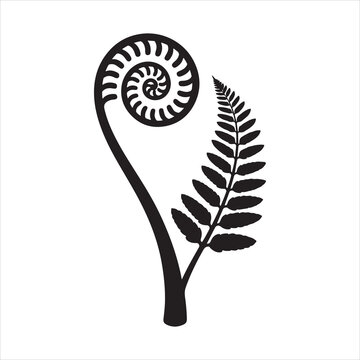 A fern leaf swirl silhouette, Vector fern spiral line art silhouette, Fern leaf spiral silhouette vector art
