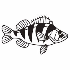 Fototapeta premium Black and white fish illustration