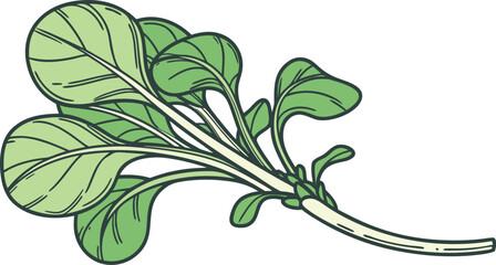 Vector illustration of a green plant with lush leaves and a nature-inspired branch design isolated on a white background as a decorative floral element for spring