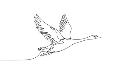 One continuous line illustration of an swan are flying, isolated on white background. © line