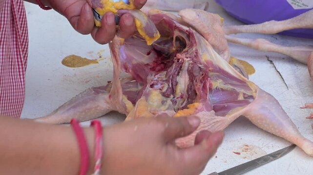 Removing the chicken's entrails to clean it