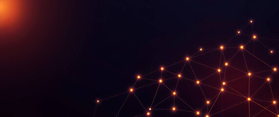 fireworks in the night sky