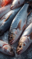 Fresh on Ice at Seafood Market