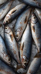 Fresh on Ice at Seafood Market