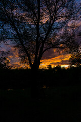 Fototapeta premium atardecer