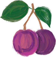 fruit illustration