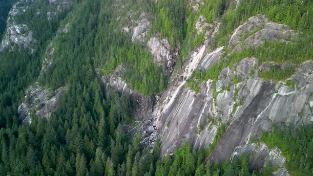 Drone view over dense forest near a steep granite rock face near Squamish, BC, capturing rugged cliffs and conifer tree canopy.