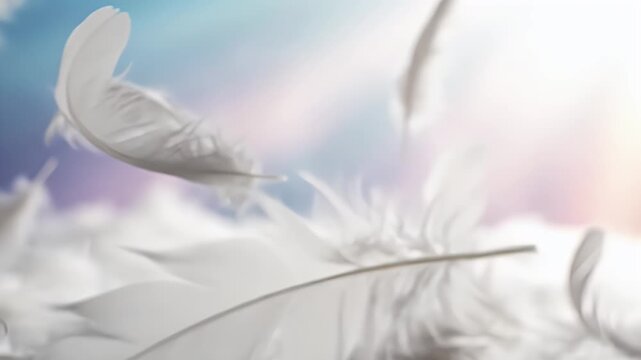 Floating white feathers in the sky, a dreamy and ethereal scene of peace.