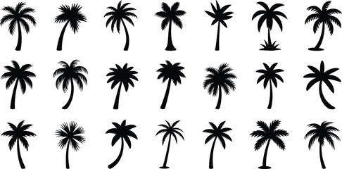 Collection of various tropical palm tree silhouettes isolated