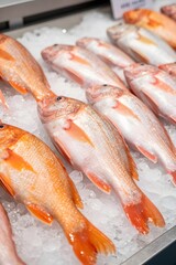 Fresh Red Fish on Ice at Seafood Market
