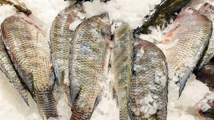 Fresh Whole Fish on Ice at Seafood Market
