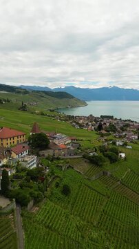 Lavaux wine region and the village of Cully, Switzerland shores of Lake Geneva aerial drone