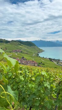 Lavaux vineyards region in Switzerland UNESCO World Heritage site viewpoint Lake Geneva
