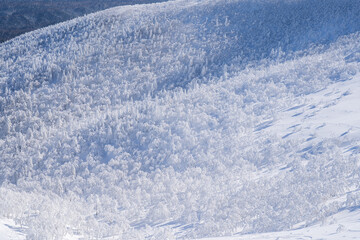 Panoramic winter landscape from Mount Mokoto in Hokkaido, covered with snow and frost trees, showing a vast frozen forest and nature