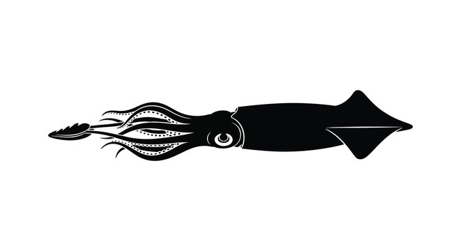 A striking black squid illustration with detailed tentacles and a large eye ideal for design projects on transparent background silhouette