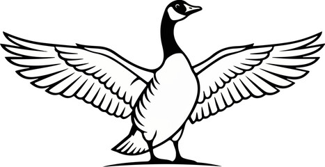 Fototapeta premium Canada Goose Wings Spread