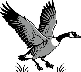 Obraz premium Flying Canada Goose Illustration