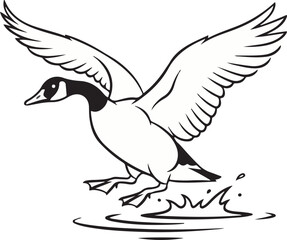 Obraz premium Canada Goose Landing Illustration