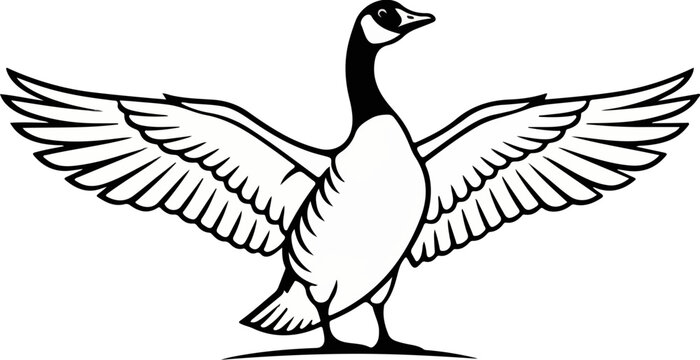 Canada Goose Wings Spread