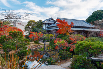 日本庭園の伝統的な瓦屋根と鮮やかな秋の彩り