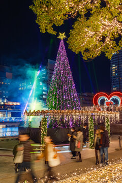 小倉の夜を照らす幻想的なライトアップツリー