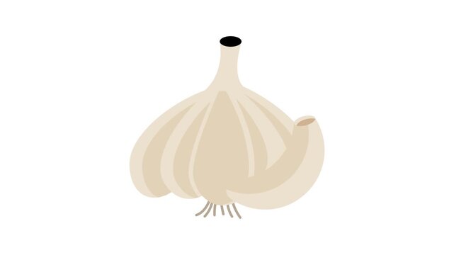  A single garlic bulb resting on a plain white background, showcasing its papery skin and distinct shape.